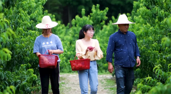 大学生想考“铁饭碗”注意了：基层公务员或涨工资，还多两种补贴