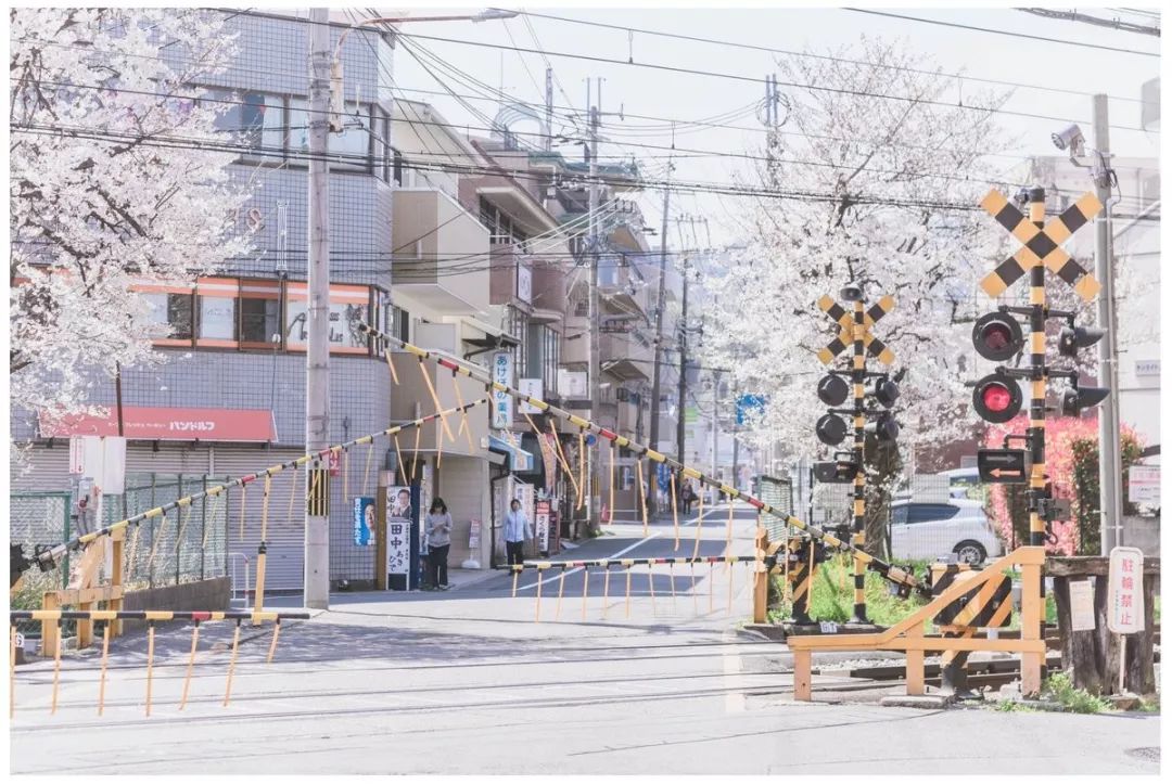 日本这位小哥每拍一张照片，就能引来无数网友围观！看...