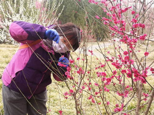 火了！北京这所大学频频登上中央电视台，研究成果在全世界发行！