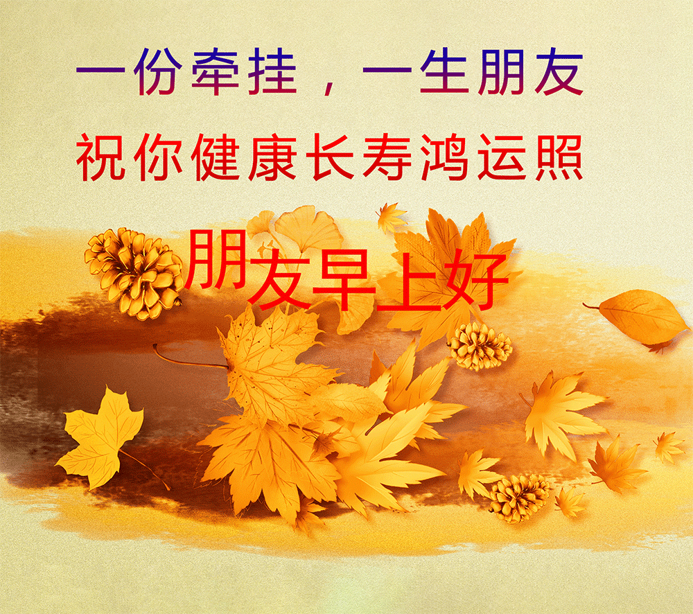 适合发朋友圈的最新早安语录图片