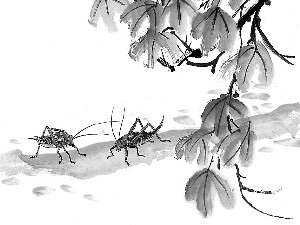 自古以来中国人对蟋蟀的认识变化