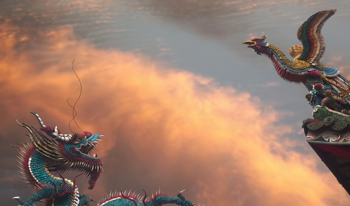 目击者拍到了照片,凤凰在世界上存在吗?