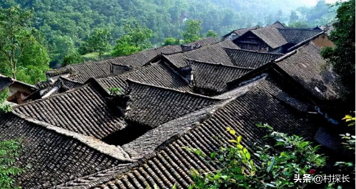 星瞰酉阳县双泉乡:产业发展添活力,乡村振兴在路上