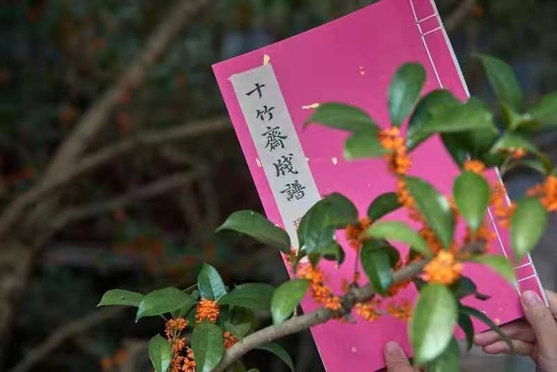 一张笺纸成为盛京与南京的文化纽带：《十竹斋笺谱》大展开幕