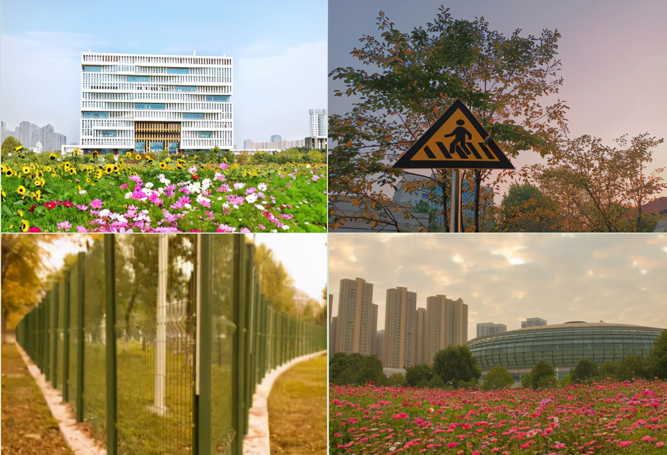 湖北“超牛”高校：坐拥百年底蕴，1个学科全国第一，成果频获世界关注！