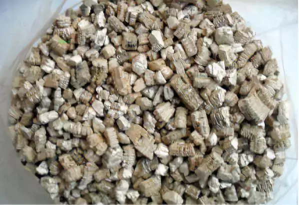 【科观新鲜事】保暖神器——暖宝宝的发热秘籍是什么？