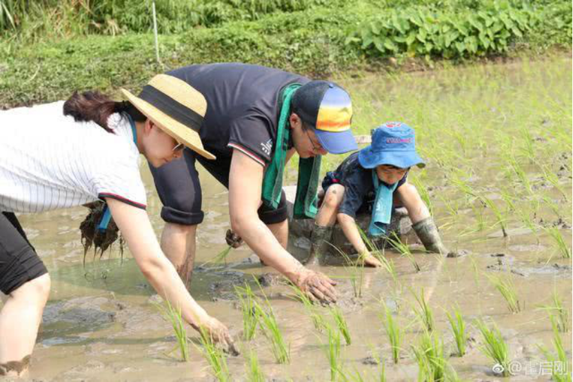 8岁！30道菜！70天学会！有“烟火气”的孩子，究竟有多幸福？