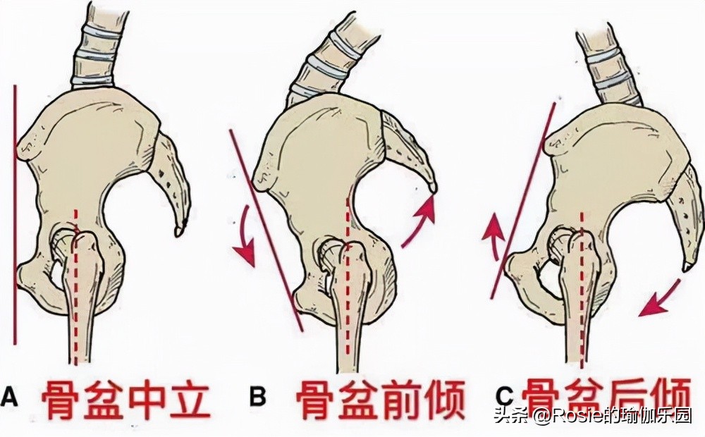 《斛珠夫人》的惊喜是她？每天3步简单练，解锁董璇同款长直美腿