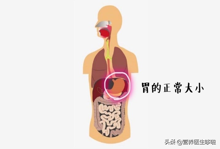 减肥不当很可怕，报复性进食胃撑破！减肥嘴馋，这么吃也能瘦