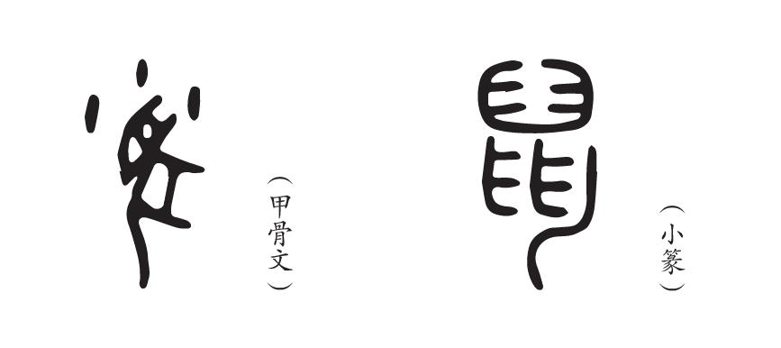 关于老鼠的百科传说,你知道多少?