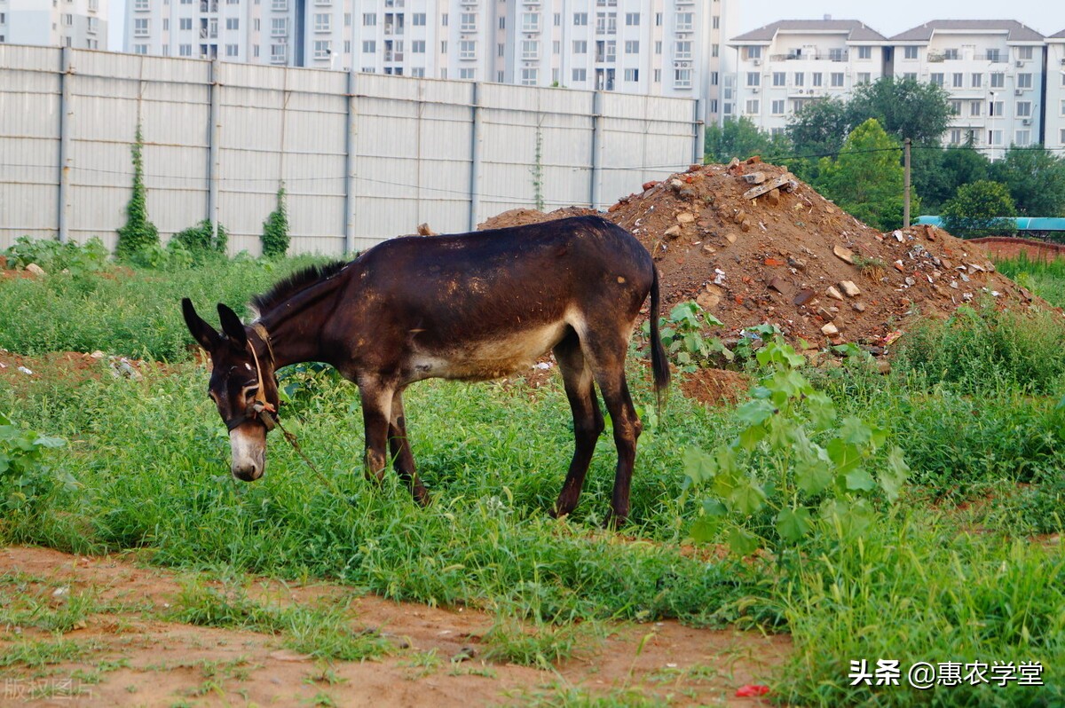 土地闲置将被收费？怎么处理好？2021年土地闲置最新政策解读