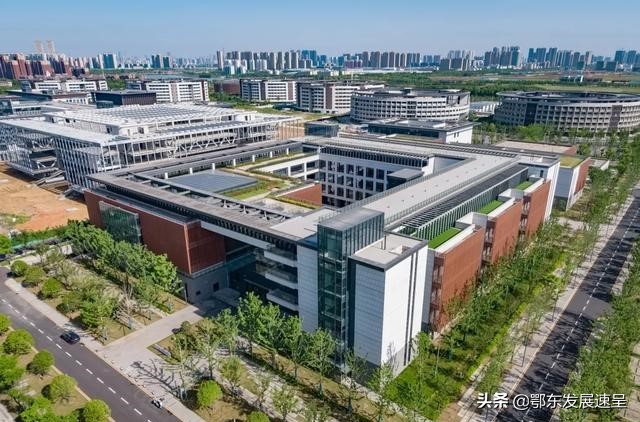 武汉大批高校需新建校区，黄陂新洲东西湖应抓住机遇将大学留下