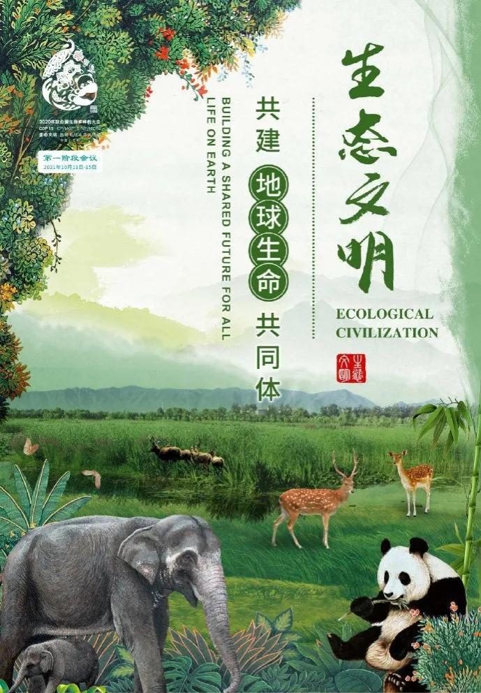 关于动植物励志的美文 _晶羽文学网