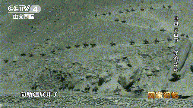 17位老人在宾馆地毯上睡了一夜，他们是谁？