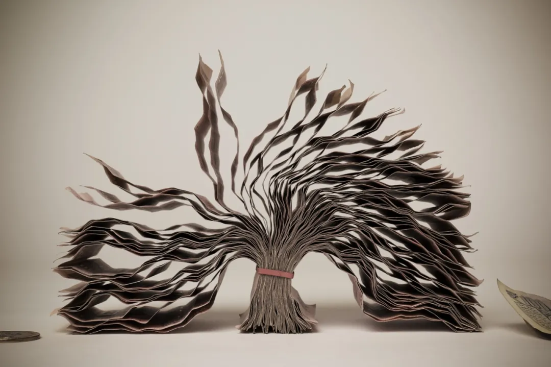 30张意味深长的照片|2021 创意摄影大赛获奖作品精选