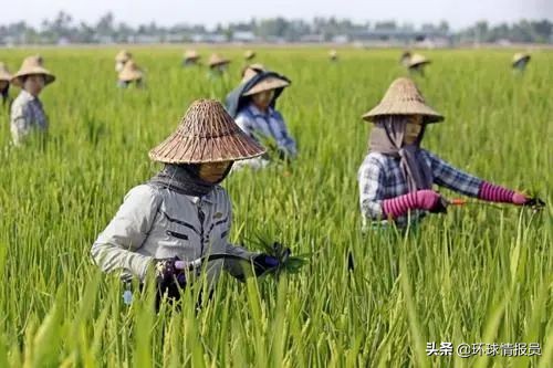 奈温：缅甸军政府开创者奈温，如何将缅甸套牢了半个多世纪？