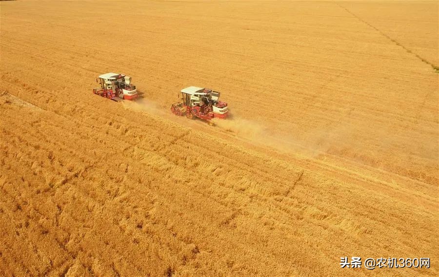 寫給小麥機(jī)用戶：購機(jī)時使用5大策略增加收益保障