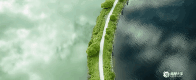 互联网办学，大学哪家强？美团大学、阿里湖畔大学、腾讯青腾大学