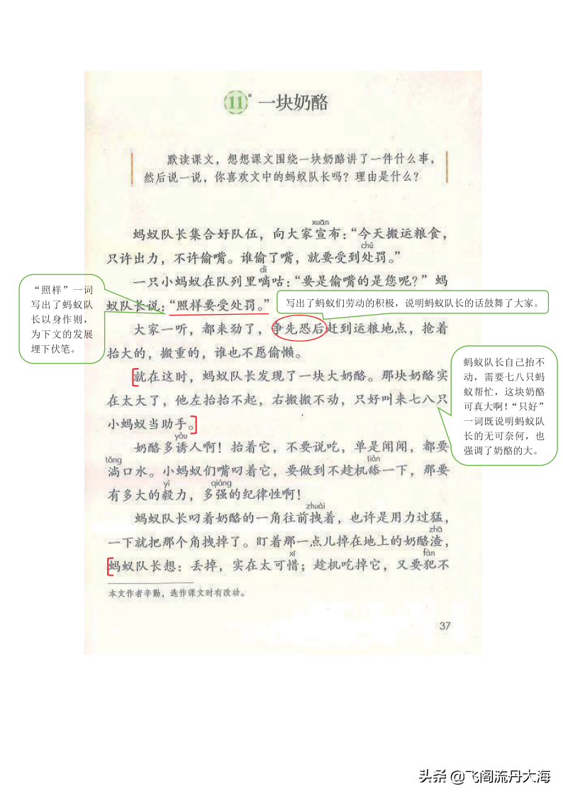 小学三年级上语文11课《一块奶酪》课堂笔记、教案及练习题