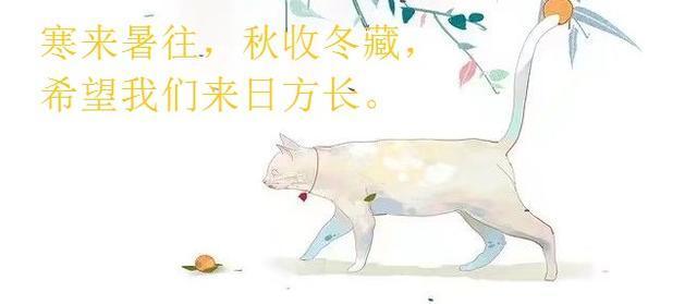 学霸女主文：学习就是致富，学习能够打脸，学习让人光芒万丈