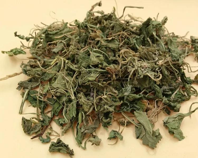 紫花地丁的功效与作用及食用方法