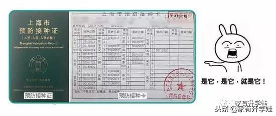 扫盲丨幼升小入门必须知道的11个名词和暗语！