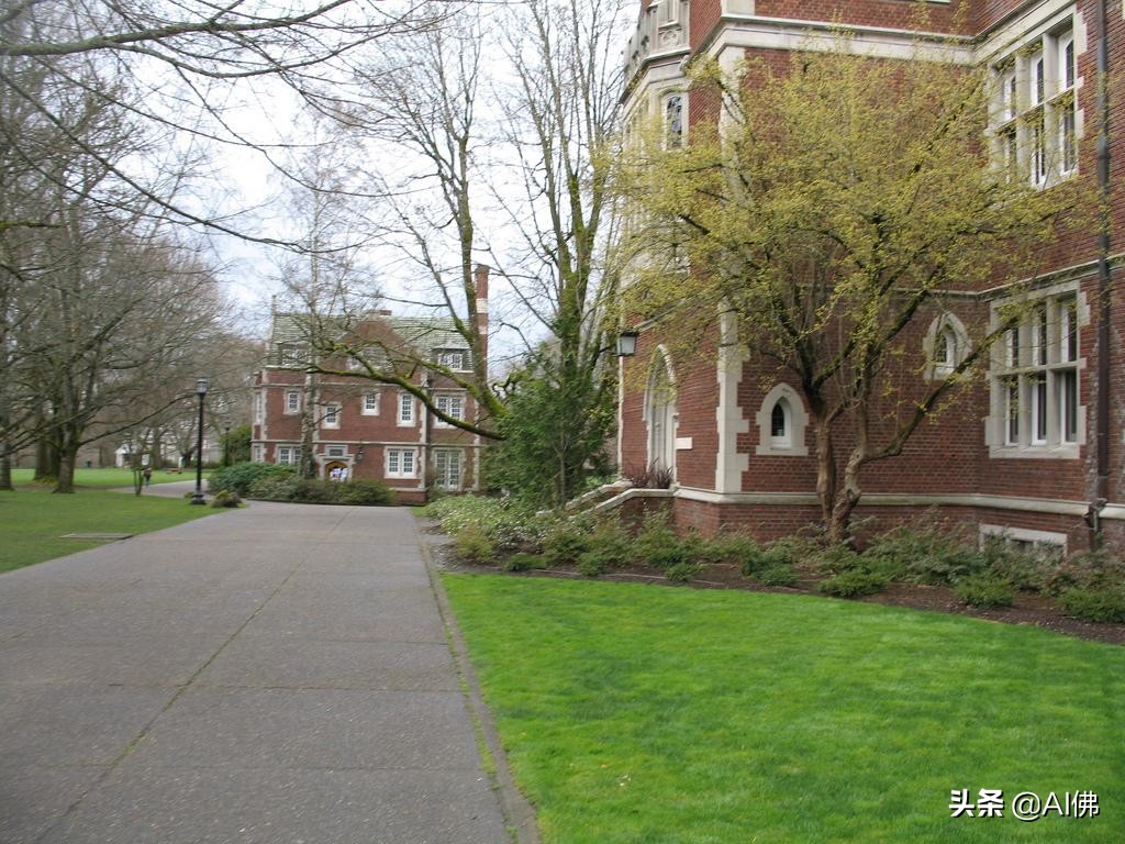 美国每个州最好的大学