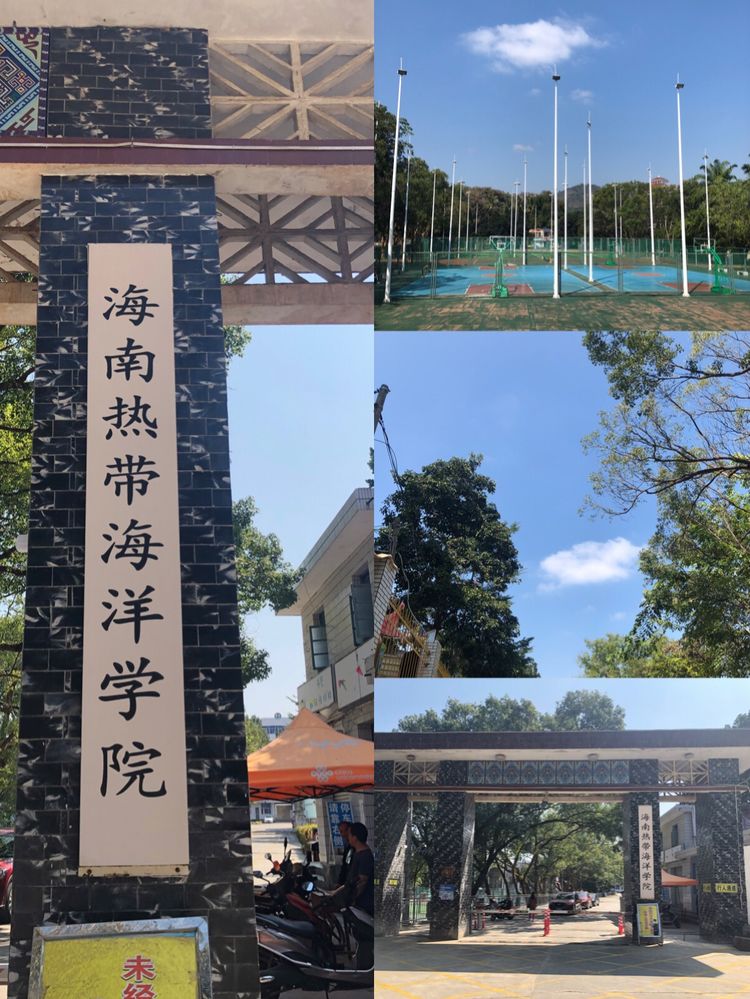 海南学子迎来好消息，一所高校力争更名，“十四五”升级大学