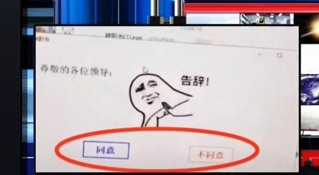 实习生辞职信范文,