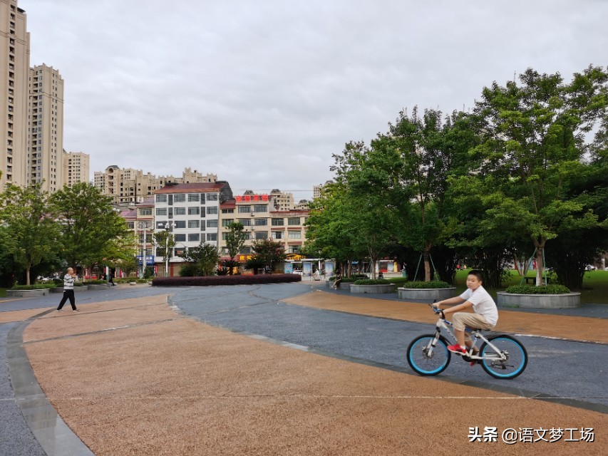 高考满分作文800字5篇（历年高考满分作文）