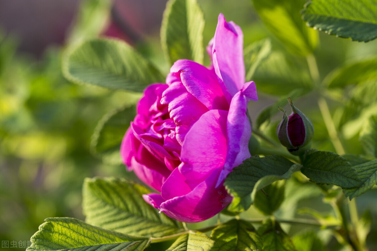 2021济南大学录取分数