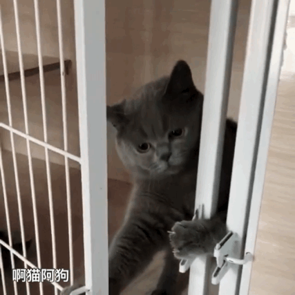 2020版最新法官、检察官表情大全！哈哈哈