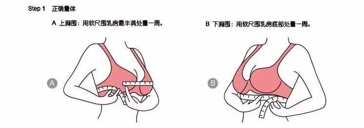 例如:上xiong圍85,下xiong圍72,兩者相差13cm,選擇接近值b罩杯.