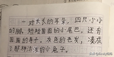 三年级第一单元要考试了，语文园地集合的知识点，这样学习更高效