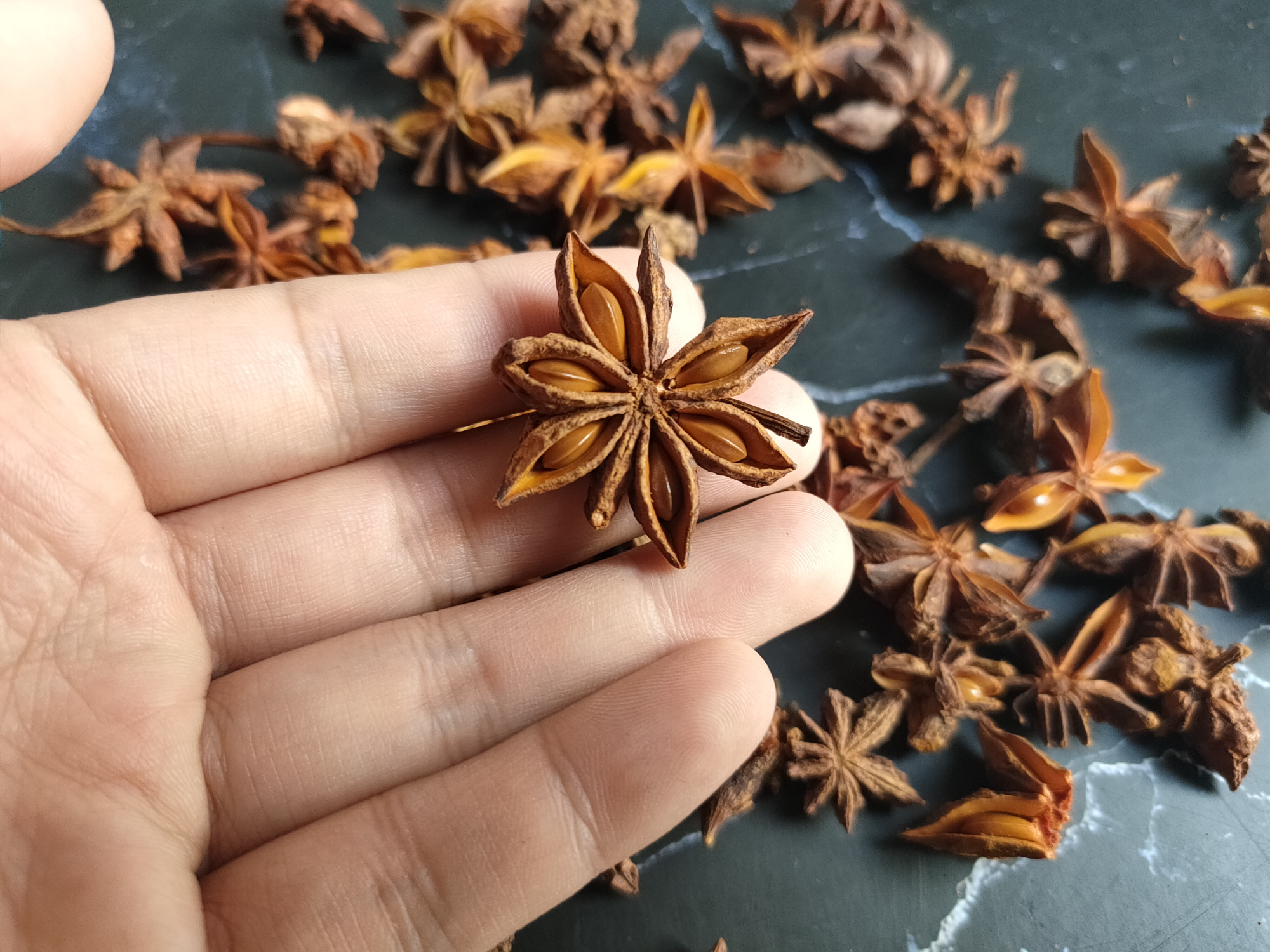 有毒的"冒牌八角"不要选,大厨教你选购八角,避免买到假八角