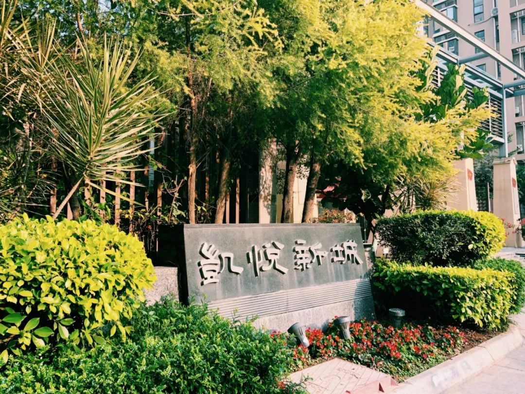 老破小一平10万+！我们走遍厦门18所名校，为你曝光最贵学区房！