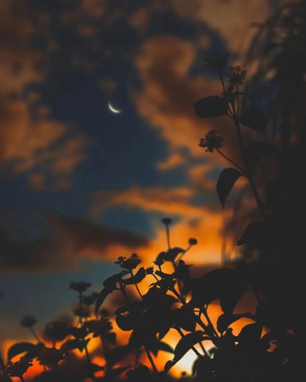 关于夜晚的唯美散文(适应夜晚发朋友圈的唯美散文) _晶羽科技