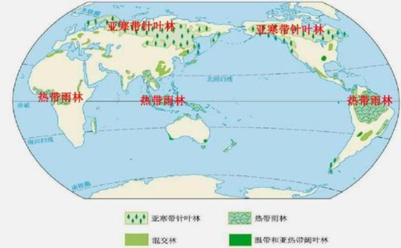 亚马逊雨林被称为人类禁区，为什么不敢去，里面到底有多恐怖？