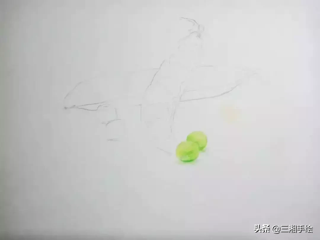 彩铅手绘教程：轻松画出可爱豌豆射手，步骤详细易上手