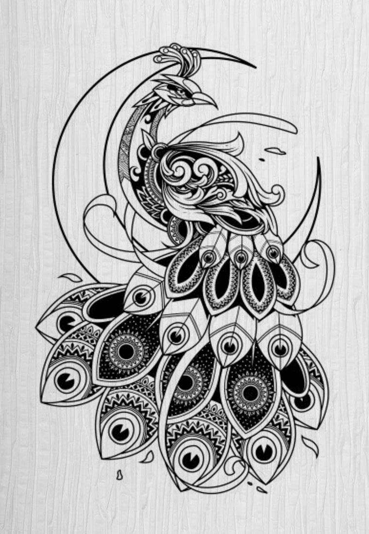 吉祥物,前程似锦,高尚和雅典,以及白头偕老的象征——孔雀