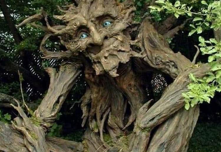 女生叫我把她当树洞