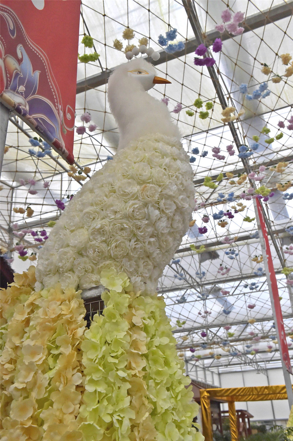 桂林：琳琅满目五彩缤纷的花卉超市