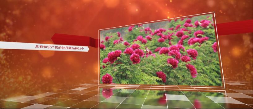 火了！北京这所大学频频登上中央电视台，研究成果在全世界发行！