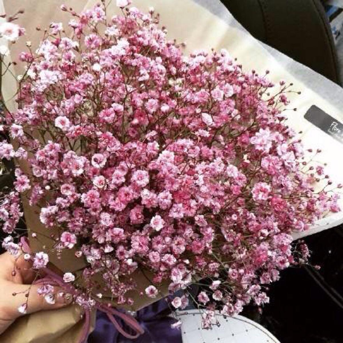 粉色白色红色,也有不同颜色混合做成的七彩满天星1紫色满天星的花语