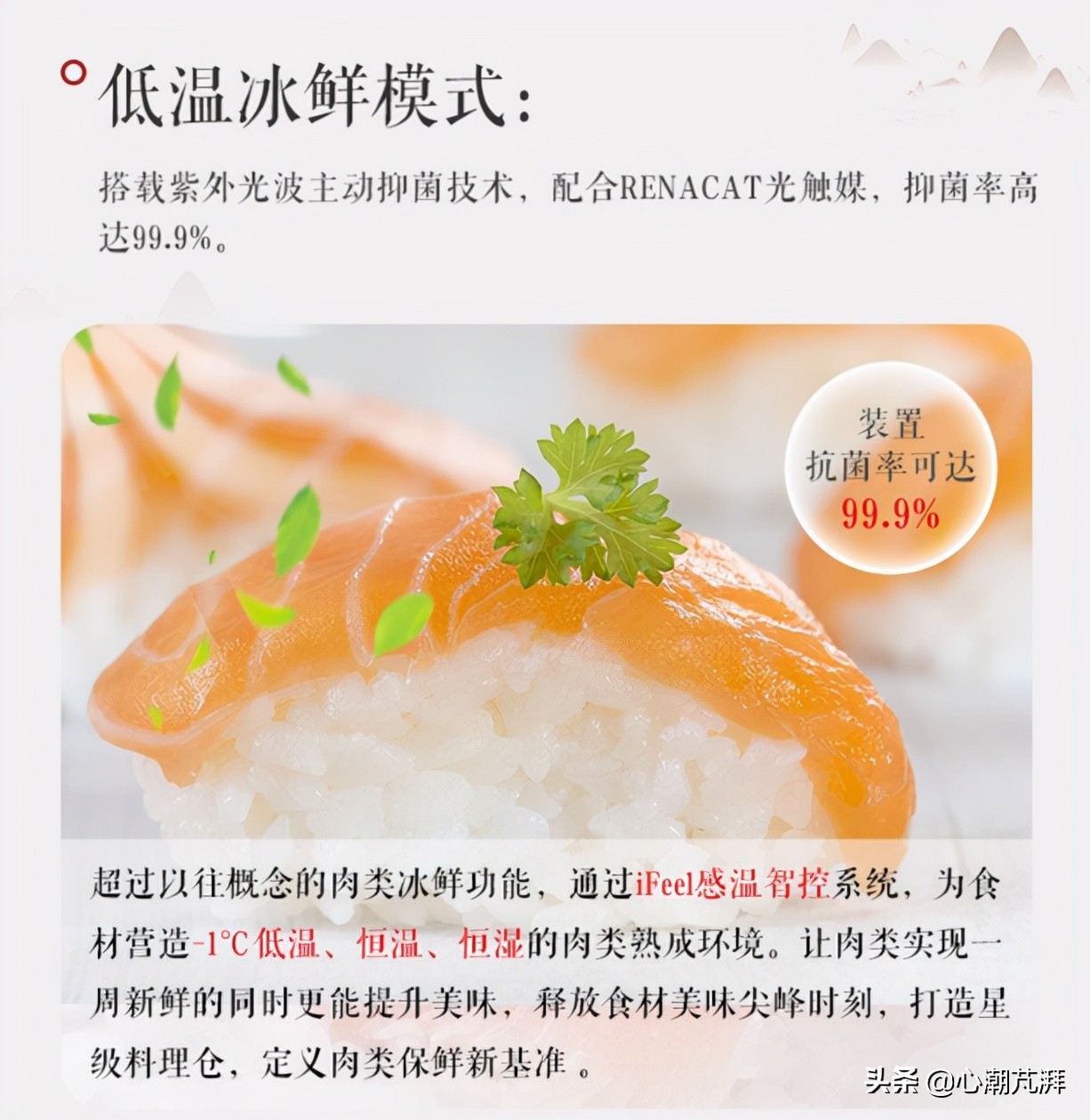 系统分析冰箱德系日系区别，附上11款神机作业给你学