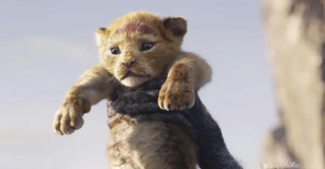 《狮子王》有多好看？宝莱坞之王沙鲁克汗看了超过40次