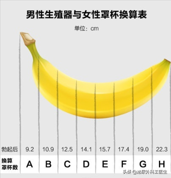 男性阴茎长度人均18cm？别被骗了！这个长度才正常