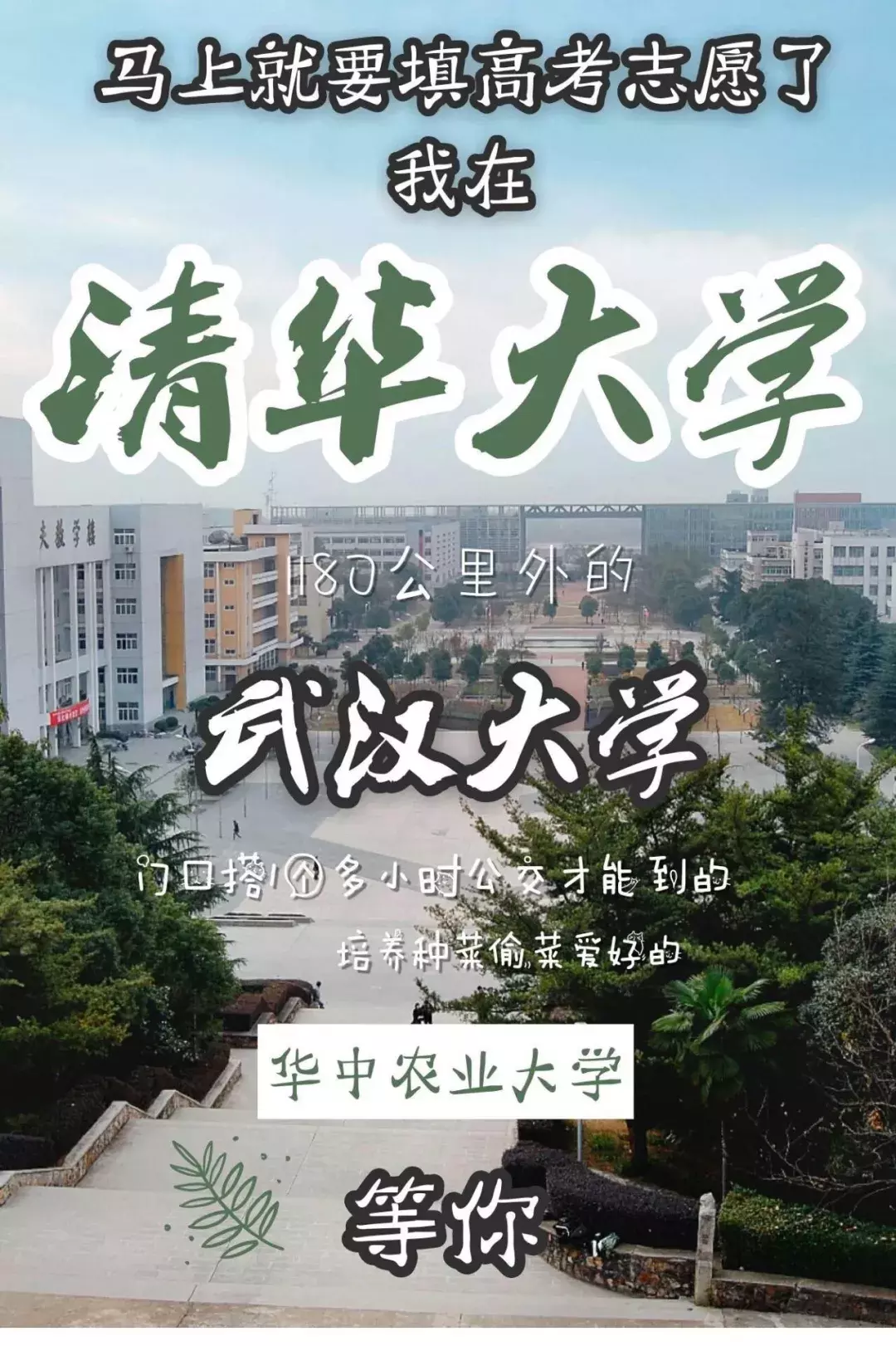 火了！这届高校的招生文案，有点意思