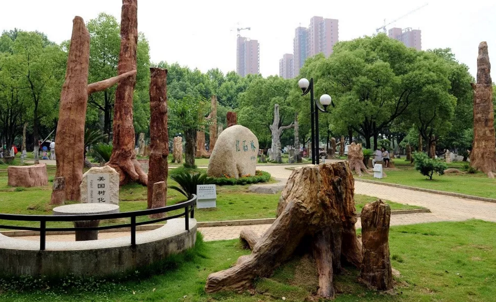 武汉的一些高校太有特色了，看完好想再来武汉读一次大学