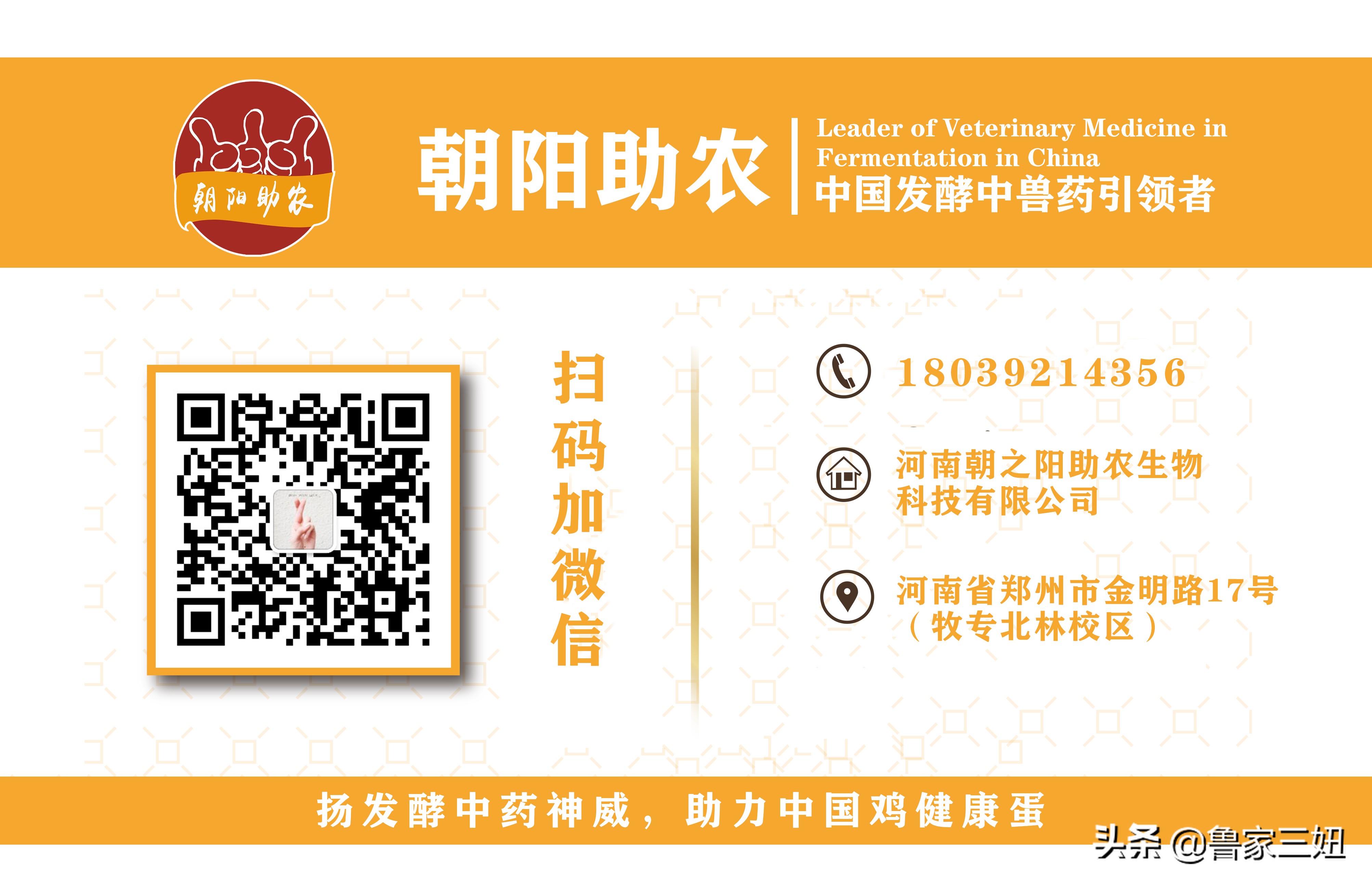 兽药计量单位及使用计算方法